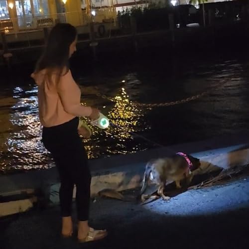 LumiLeash™ – Laisse pour chien lumineuse
