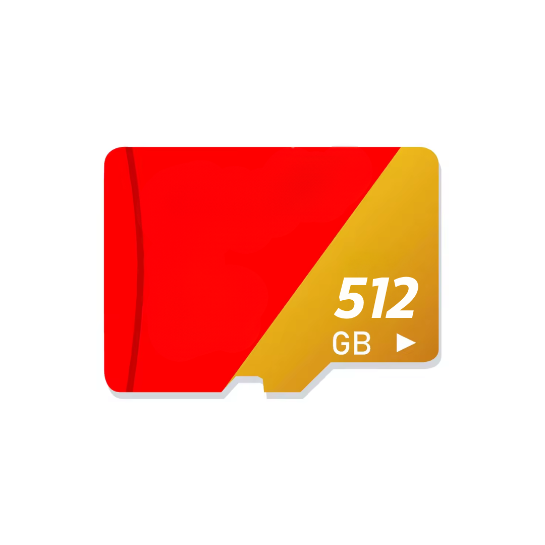 Carte Micro SD